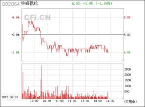 华峰氨纶（002064） 中国氨纶行业的领军企业