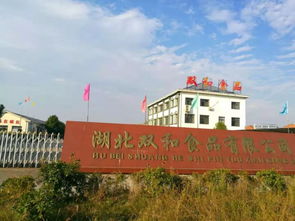 武穴这家食品厂要火了！再过4天，武山湖都是酸辣味